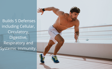 Load image into Gallery viewer, Ayurvedic All Natural 5 in 1 Immunity Booster Supplement for Adults & Kids, Immune Defense (60 Tablets)