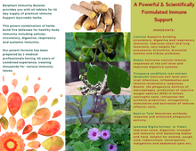 Load image into Gallery viewer, Ayurvedic All Natural 5 in 1 Immunity Booster Supplement for Adults & Kids, Immune Defense (60 Tablets)